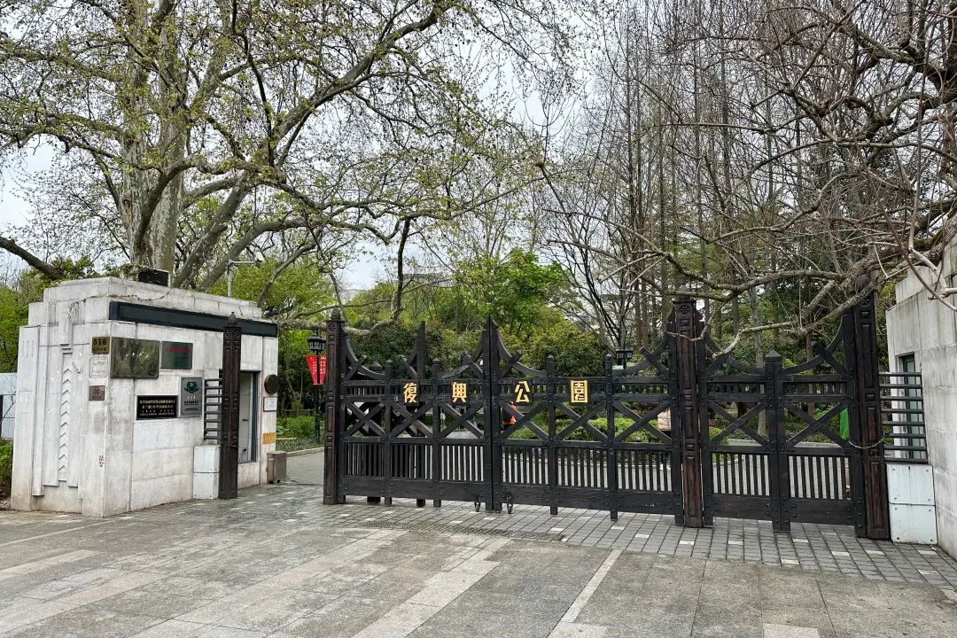 复兴公园赏花季:牡丹芍药盛开,游客纷至沓来_澎湃号·政务_澎湃新闻