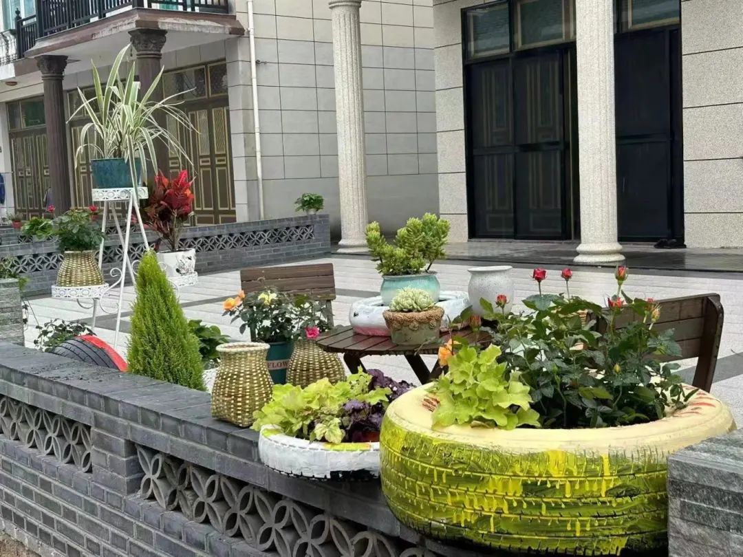 整治人居环境·共建美丽乡村202477丨三门花桥:从"串点成线"到"连片