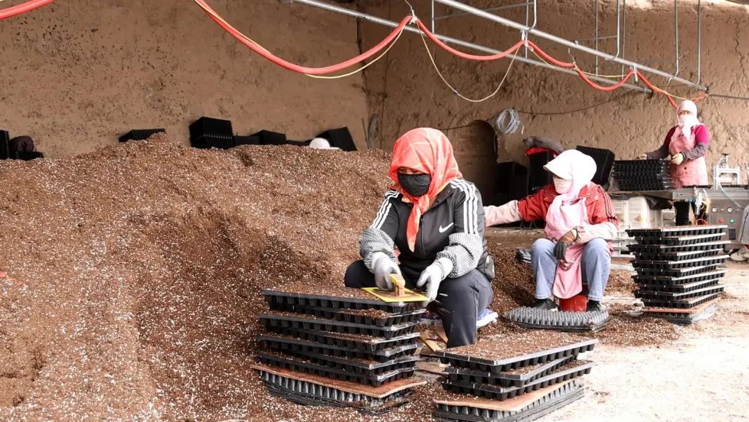 据金昌市农技中心正高级农艺师段军介绍,当前水情形势依然严峻,为确保