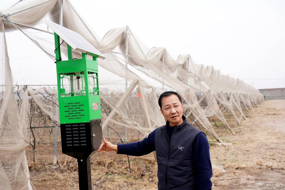 示范新型风吸式太阳能杀虫灯,梨小迷向丝等新型理化诱控技术,引进自动
