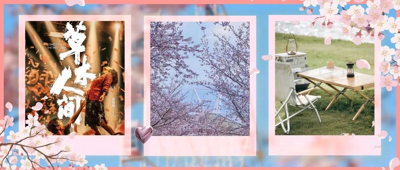 赏花游玩全攻略_澎湃号·湃客_澎湃新闻-the paper