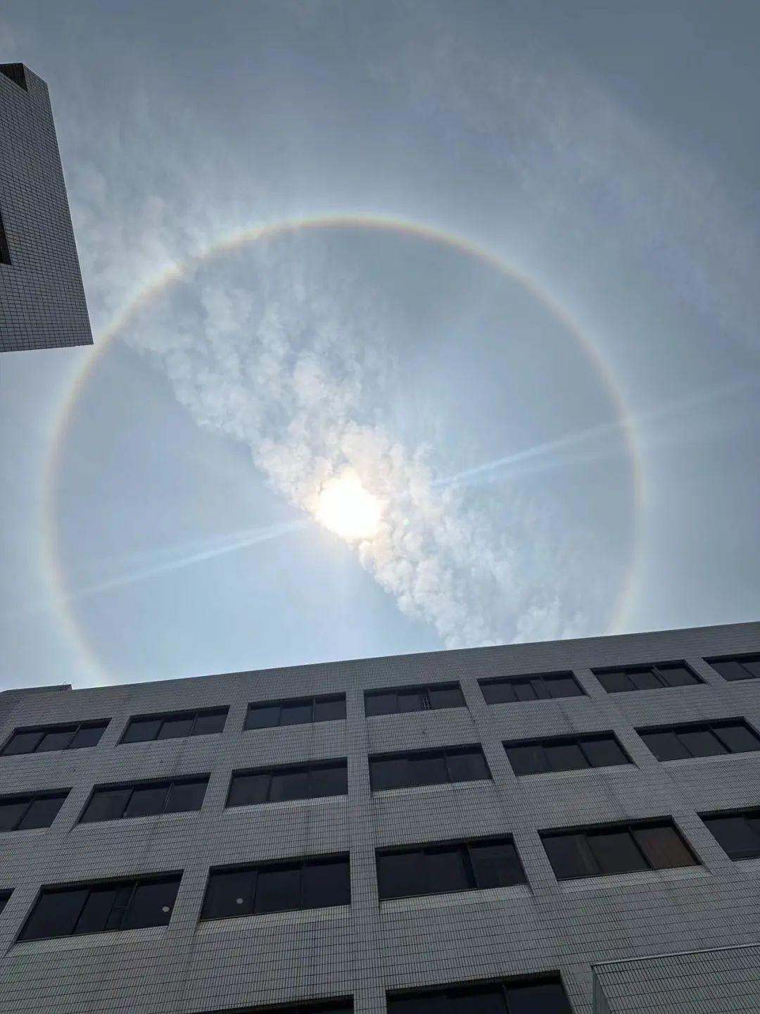 微博@黎城初冷晓红微博@灵感的粉丝微博@墨飞mofei微博@krismile09046