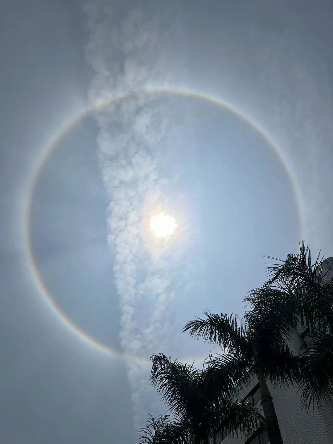 微博@牛奶洒le布布微博@黎城初冷晓红微博@灵感的粉丝微博@墨飞mofei