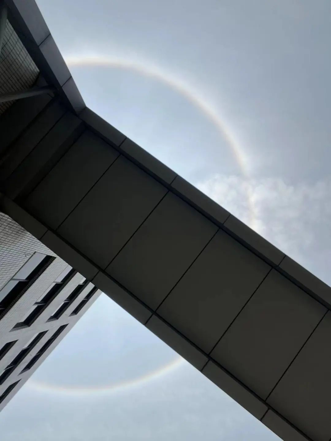 布布微博@牛奶洒le布布微博@黎城初冷晓红微博@灵感的粉丝微博@墨飞