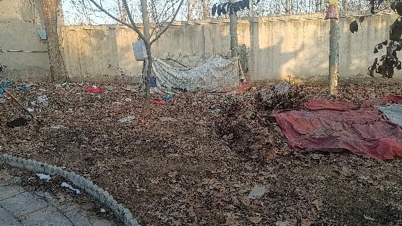 春节征集王皓美丽乡镇何时来到我的故乡记豫北地区的一个小乡镇