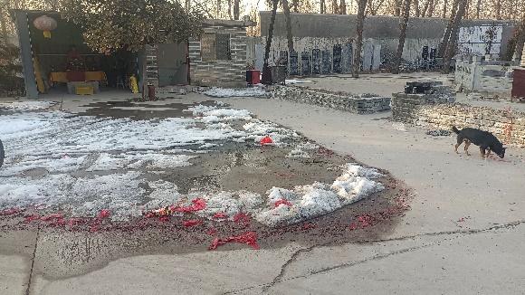 春节征集王皓美丽乡镇何时来到我的故乡记豫北地区的一个小乡镇