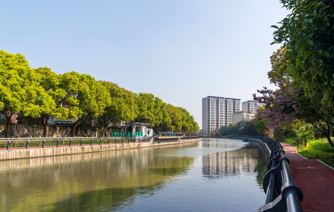 陈华文沿着河岸边走边看,实地了解蒲汇塘河道水质状况,沿线两岸环境及