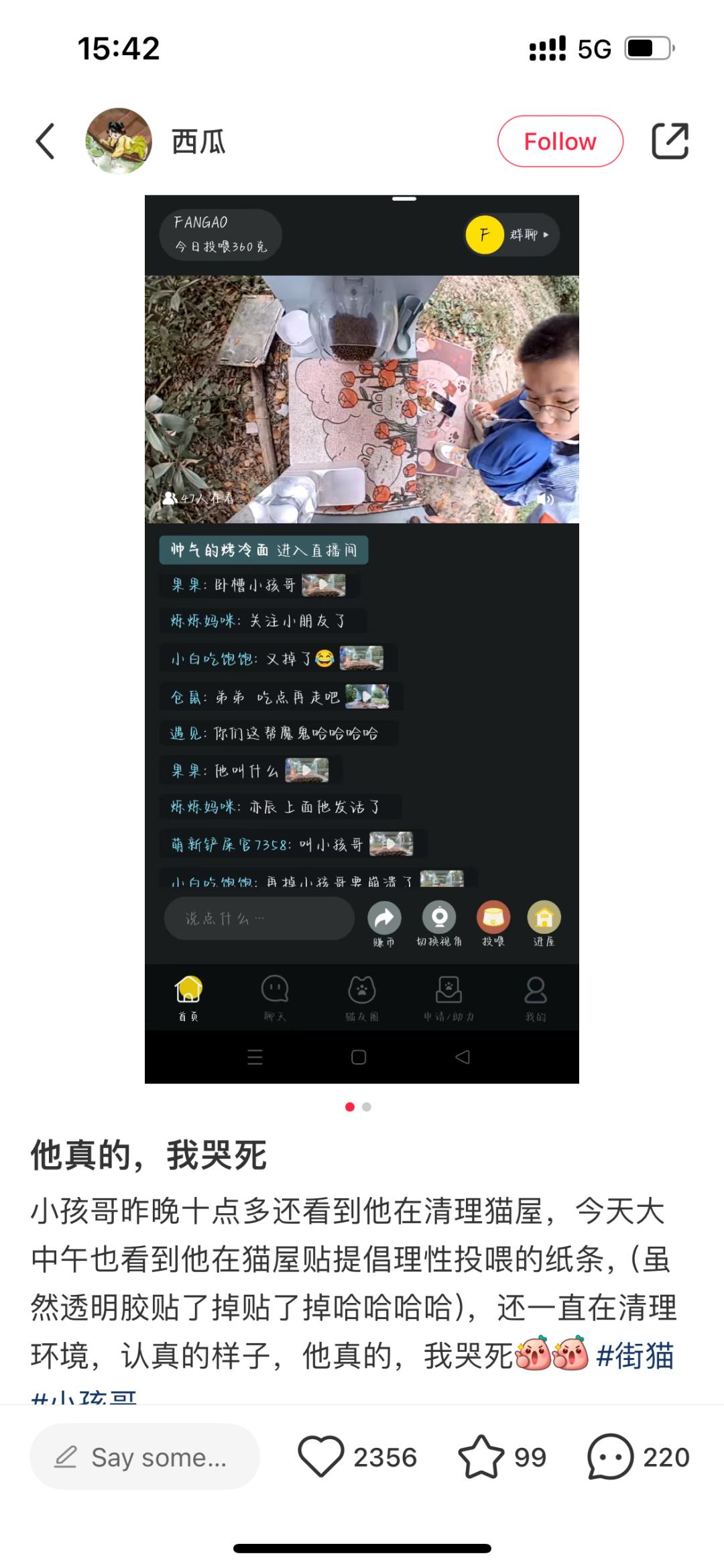 澎湃号·政务_澎湃新闻-the paper