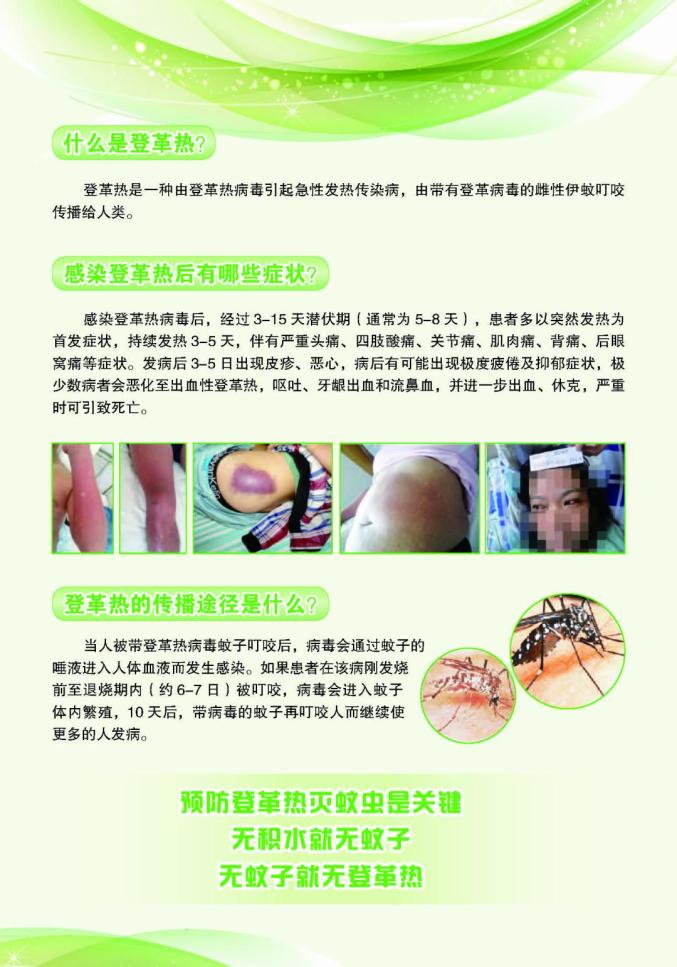 海报全民齐动手预防登革热