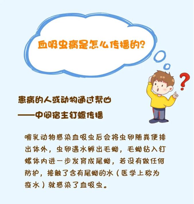 感染血吸虫病的人,家畜和野生动物均可以是血吸虫病的传染源.