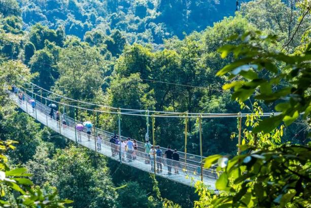 高铁票售罄旅行团报满广西三月三还能去哪玩