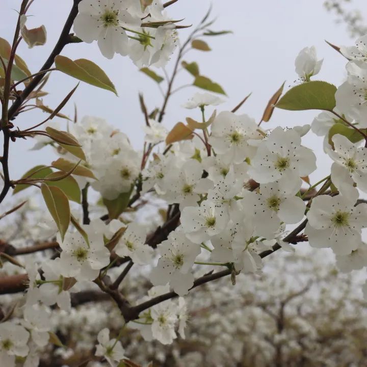 意气风发 共赴春光