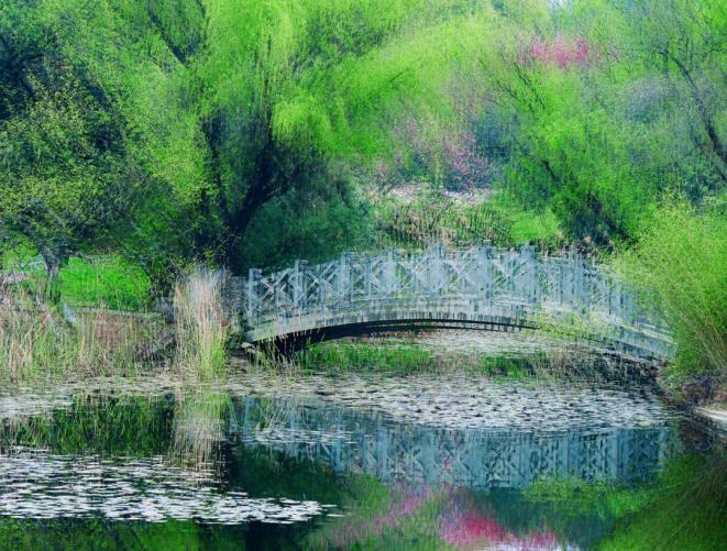 这有3个小技巧,简单易学,快来看看_澎湃号·湃客_澎湃新闻-the paper