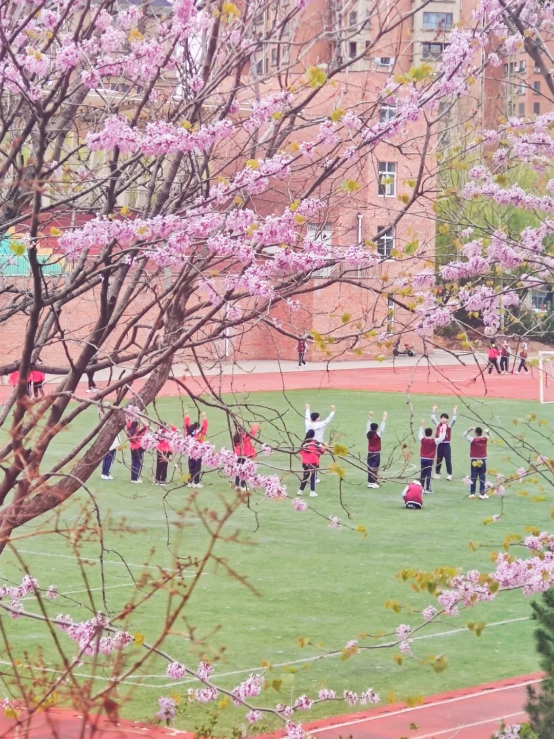 中学▲高密市第一实验小学▲安丘市景芝镇由方小学▲安丘市新安街道