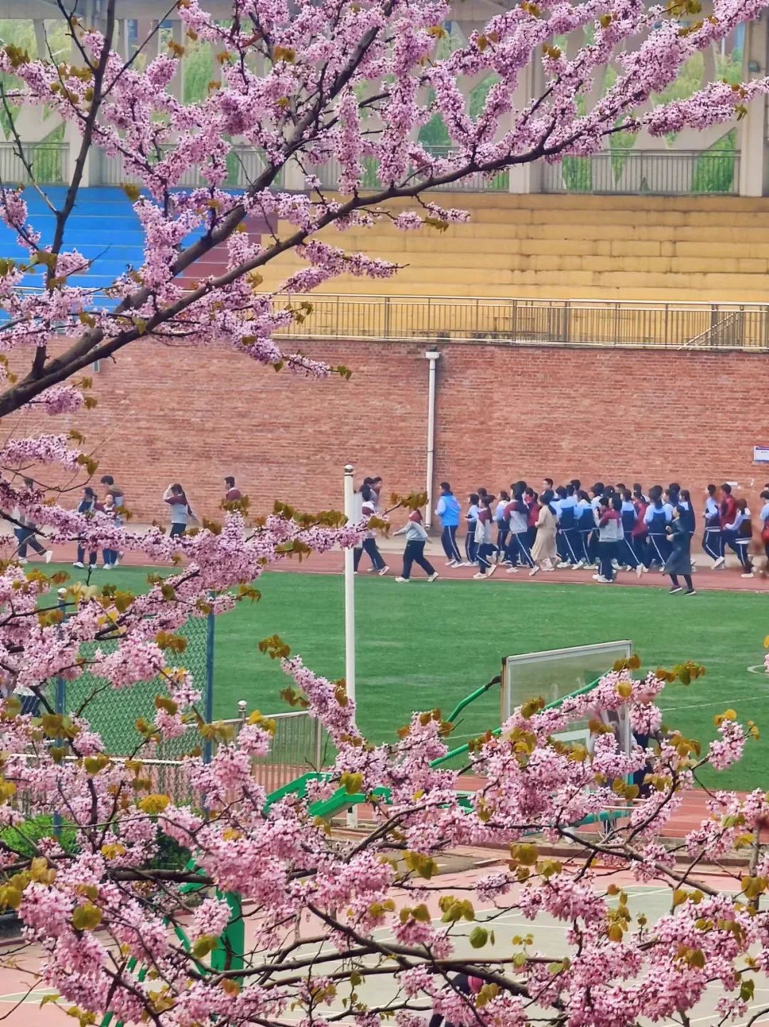 高密实验中学图片