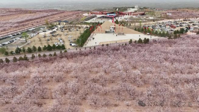 随着杏花季到来,一年一度的"第十八届中国泥河湾杏花节及五一旅游季