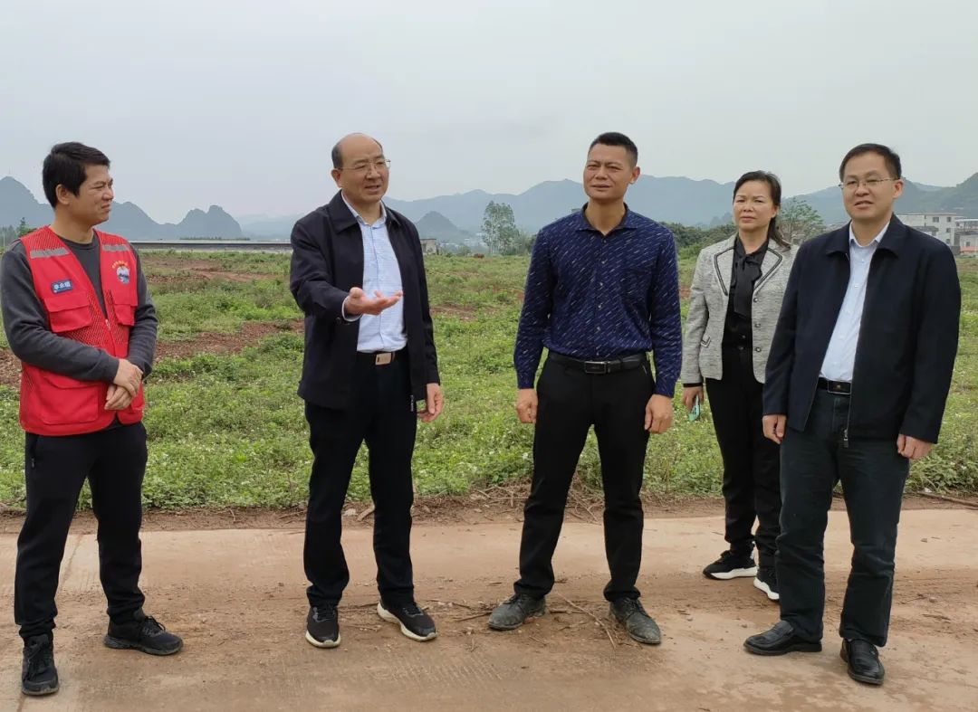 韦平到武宣开展乡村振兴调研等工作