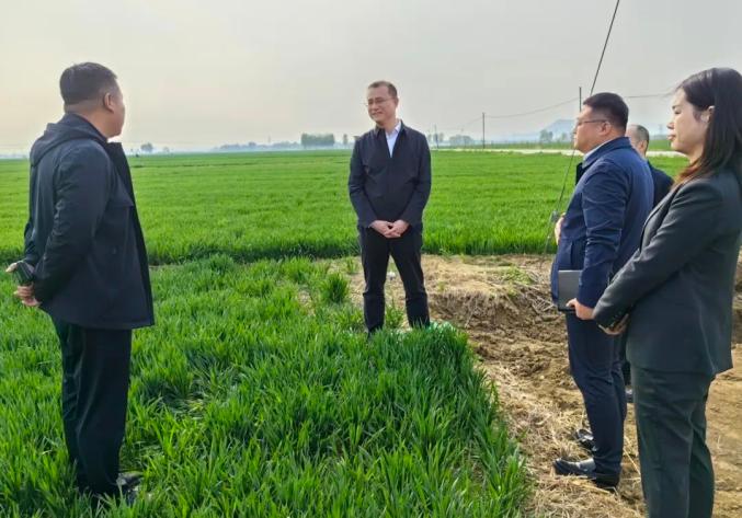 县委书记冯涛到寺庄镇调研