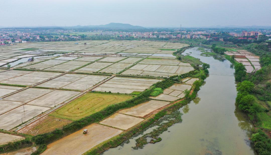 牢记嘱托 奋勇争先丨浏阳沙市镇:深耕粮食生产全产业