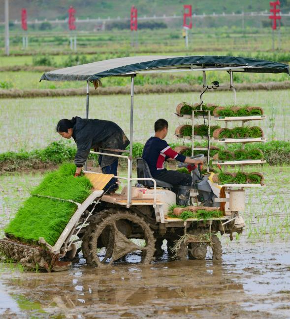 都说种田辛苦,那邓全义的省力,轻松来自哪里?