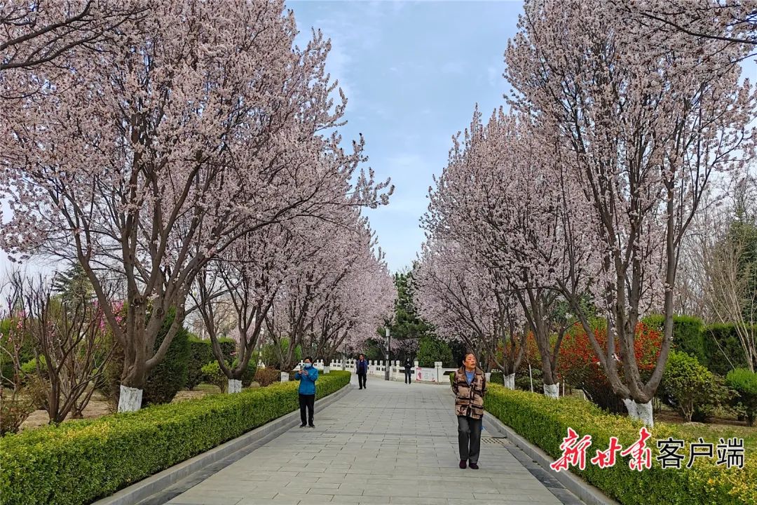 澎湃号·政务_澎湃新闻-the paper