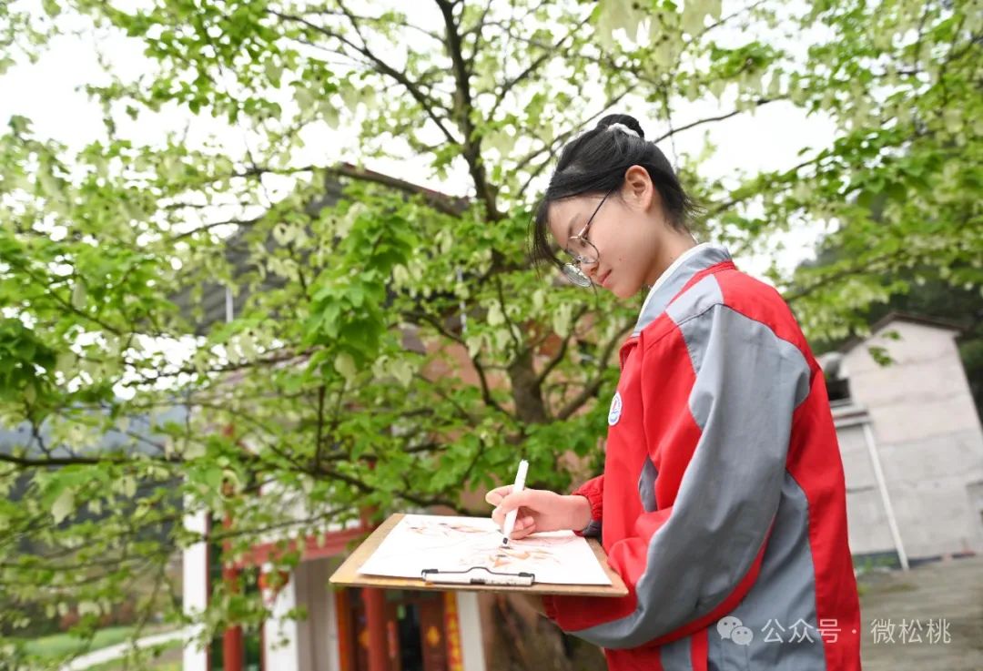 多彩贵州花漾中国松桃梵净山下鸽子花开