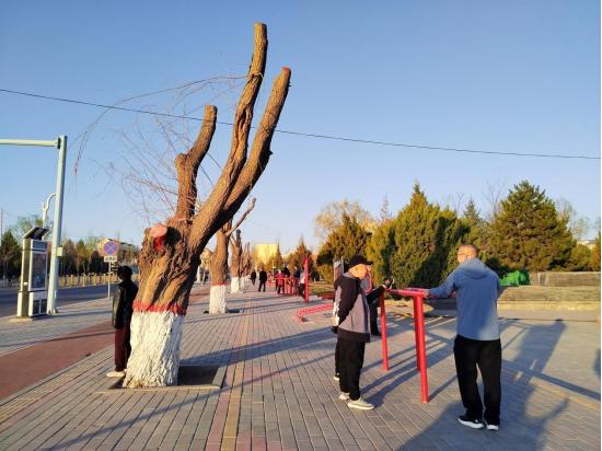 春暖花开在可爱鄂托克见一面吧