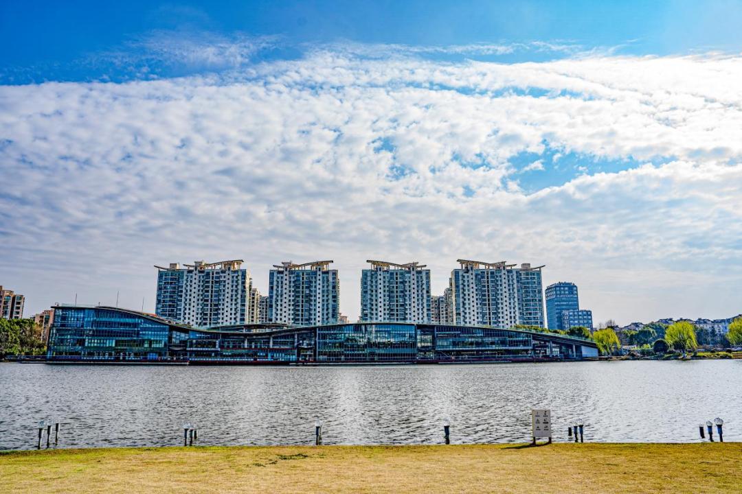 春日"沪"水游丨青浦:湖畔春色别样浓——夏阳湖_澎湃号·政务_澎湃
