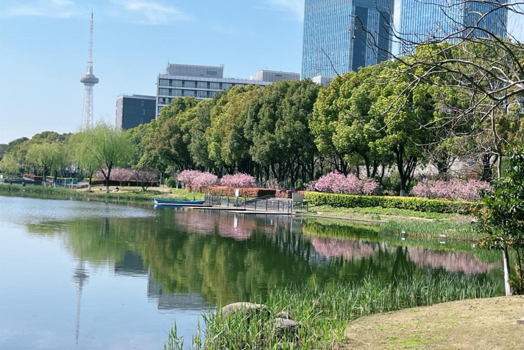 春日"沪"水游丨青浦:湖畔春色别样浓——夏阳湖_澎湃号·政务_澎湃