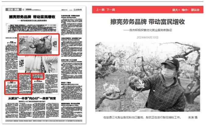 【党媒聚焦】赵县:擦亮劳务品牌 带动农民增收_澎湃号·政务_澎湃新闻