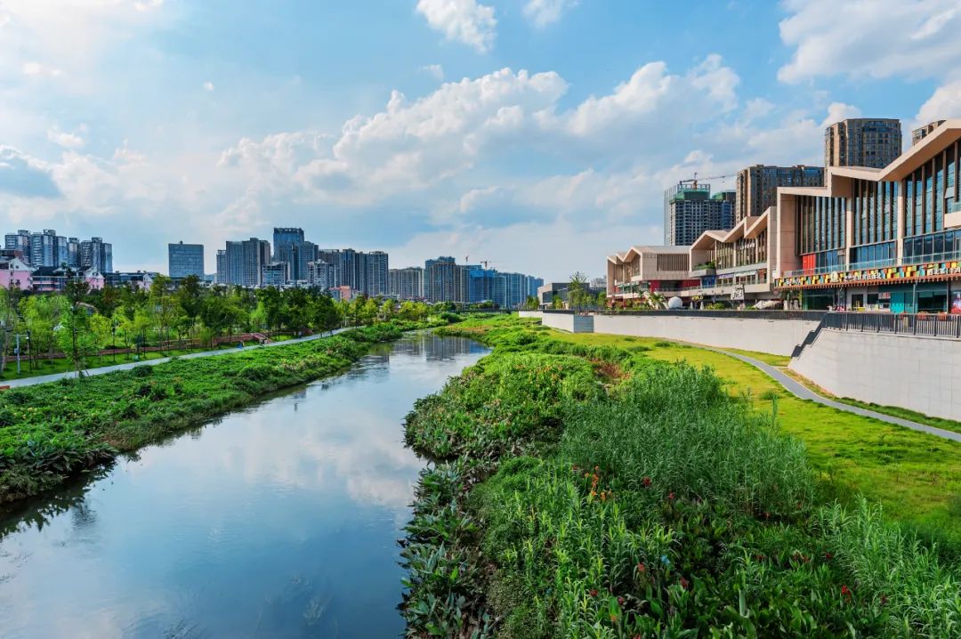 爱在圭塘河丨罗丽军东风舞动圭塘河