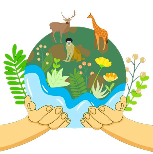 重庆开州:响应代表建议 开展野生动物保护专题普法