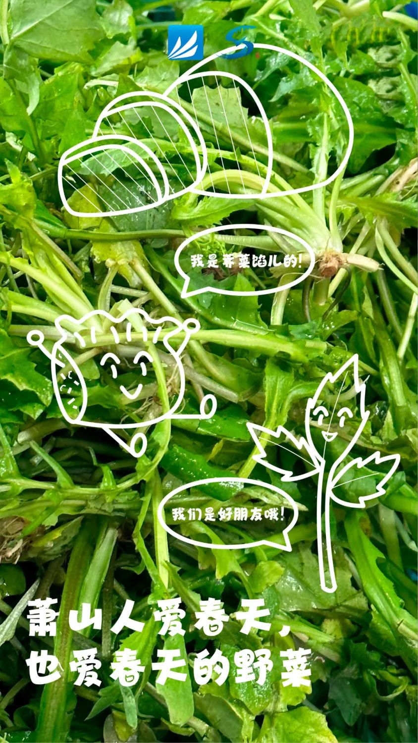 萧山人抓紧!_澎湃号·政务_澎湃新闻-the paper