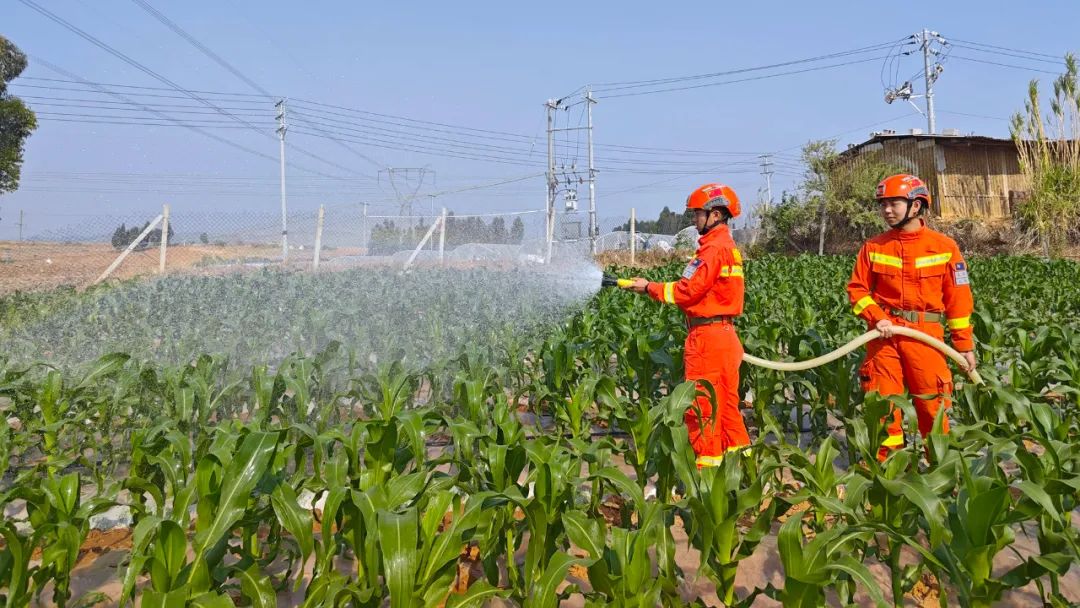 有一种温暖叫送水上门丨昆明市森林消防支队抗旱送水暖民心_澎湃号