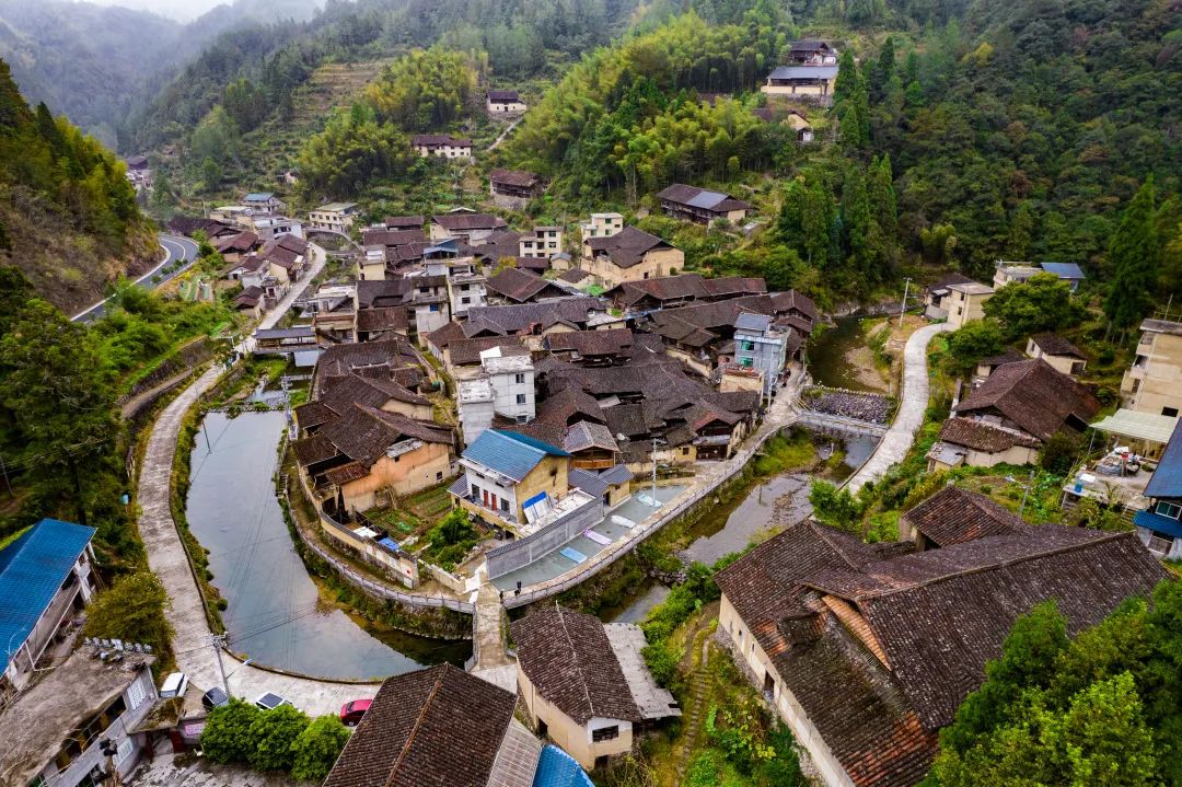 庆元寿宁两县建立浙闽省际边界院前急救联动机制_澎湃号·政务_澎湃