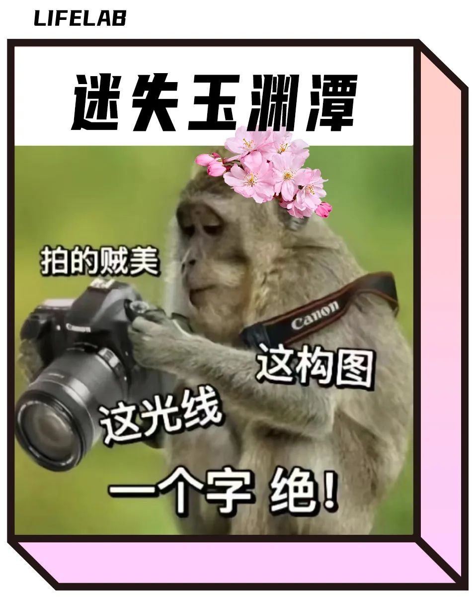 北漂的精神教父,是玉渊潭大爷_澎湃号·湃客_澎湃新闻-the paper