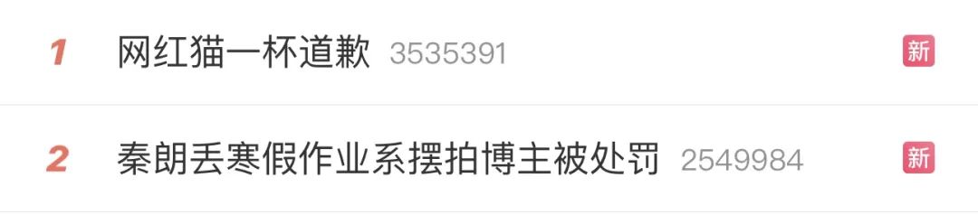 "秦朗作业丢巴黎"涉事博主被处罚,本人道歉_澎湃号