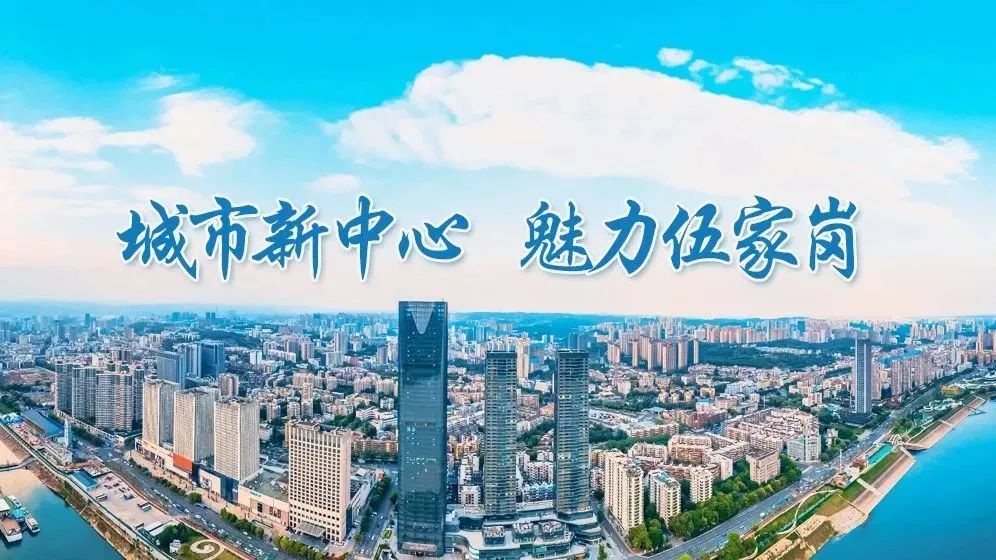 4月9日2024年宜昌市医保基金监管专项检查工作推进会暨"集中宣传月"