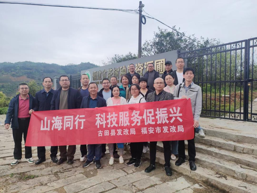 【乡村振兴进行时】古田:山海同行 科技服务促振兴_澎湃号·政务_澎湃