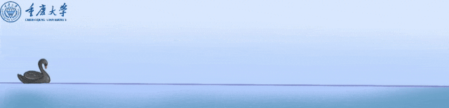 澎湃号·政务_澎湃新闻-the paper