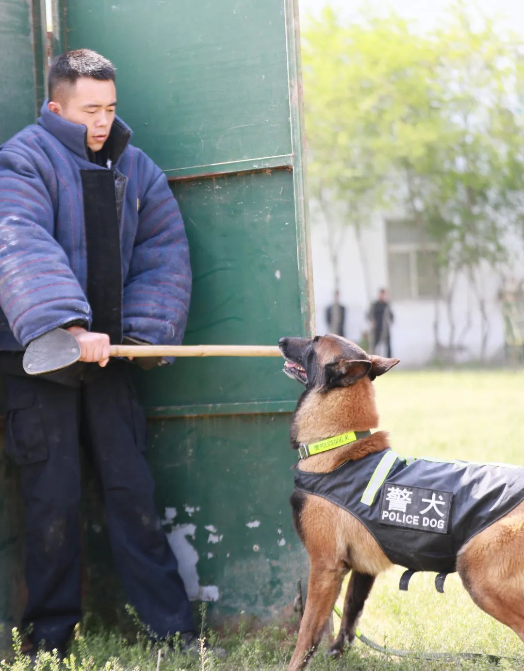 警犬训练简报宣传图片