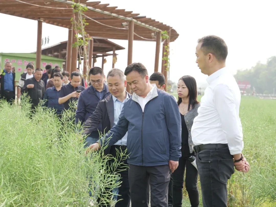 【建功十四五 奋进新征程】安顺市2024年第一季度科技