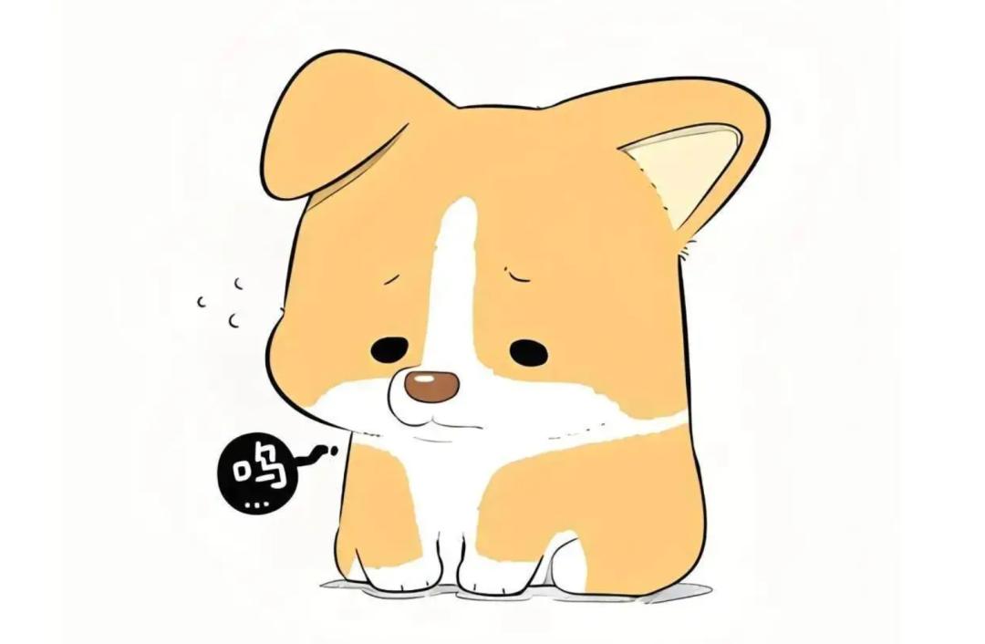 以案释法 | 网购到"星期狗",消费者该如何维权?