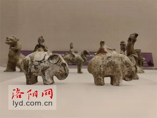 新增50余件文物……_澎湃号·政务_澎湃新闻