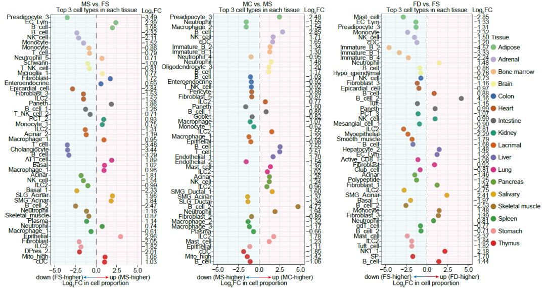 解析雄激素调控性别差异的分子细胞基础_澎湃号·政务_澎湃新闻-the