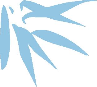 sex and gender: modifiers of health, disease, and medicine.