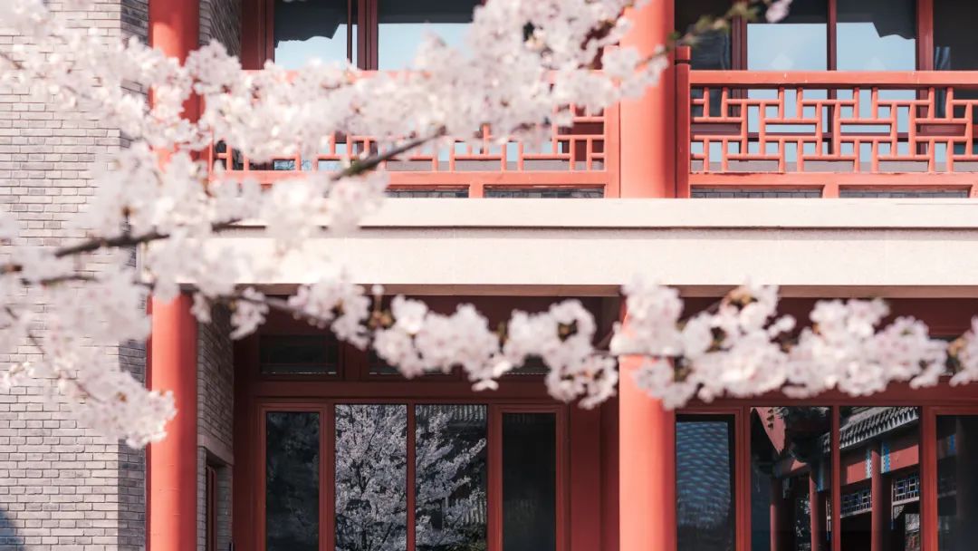 北大经院学者 | 王熙:全方位施策提高毕业生就业质量_澎湃号·政务