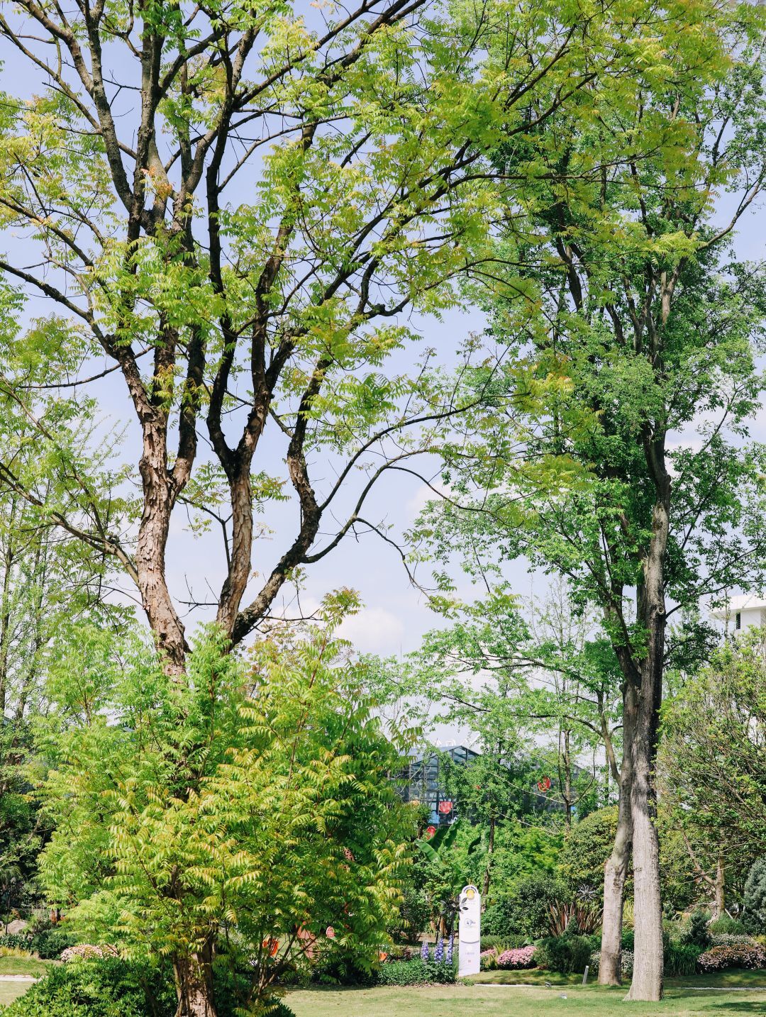 迎接世园会:看成都人的花生活_澎湃号·政务_澎湃新闻-the paper