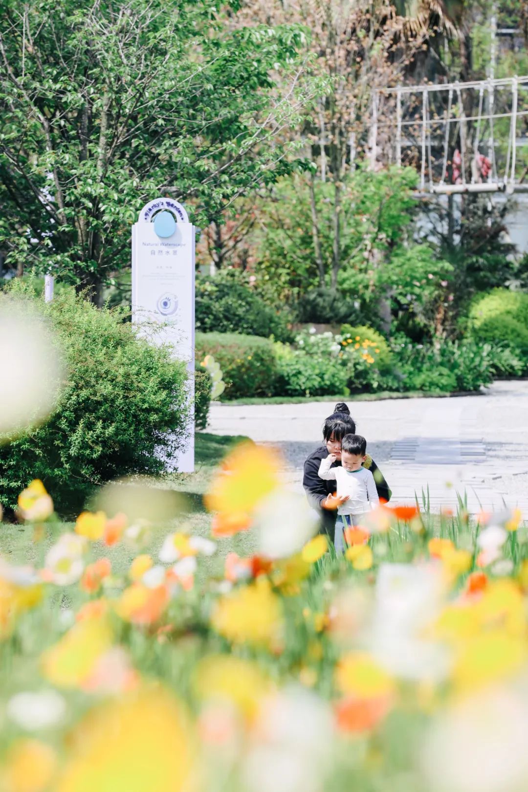 迎接世园会:看成都人的花生活_澎湃号·政务_澎湃新闻-the paper