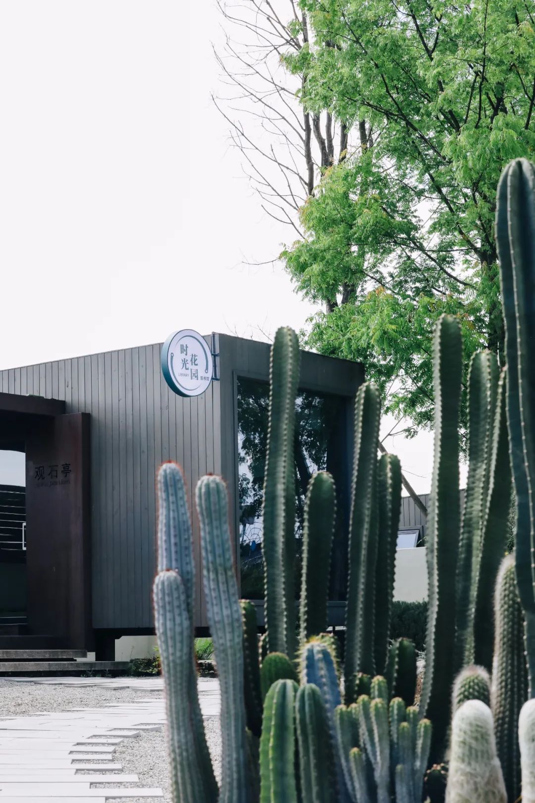 迎接世园会:看成都人的花生活_澎湃号·政务_澎湃新闻-the paper